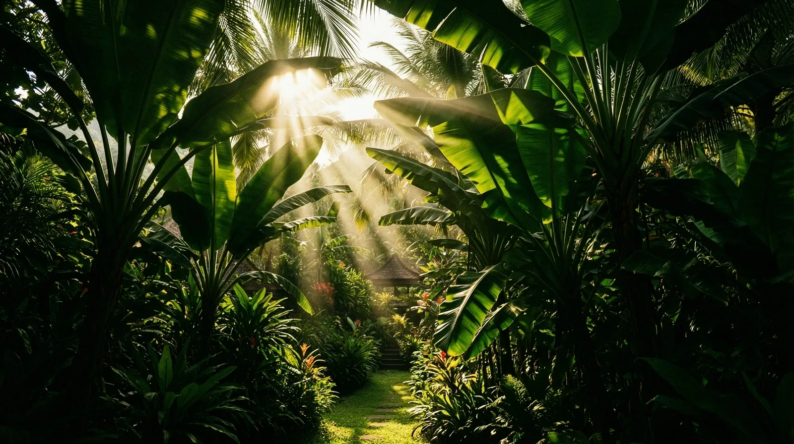 The natural source of our extracts